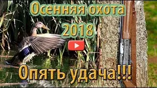 Autumn hunting 2018. Hunting for a duck and new trophies!
