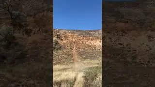 Мотик смог!!!
