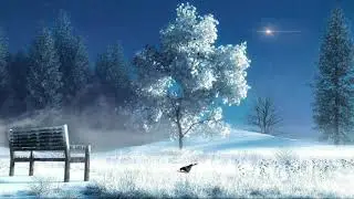 Video Background | Winter Snow | 4K | 100% Free Background Video Loop | HD | Animation Video