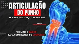 ARTICULAÇÃO DO PUNHO: Movimentos e funções musculares. Método D.A.M