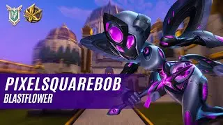 pixelsquarebob WILLO PALADINS COMPETITIVE (MASTER) BLASTFLOWER