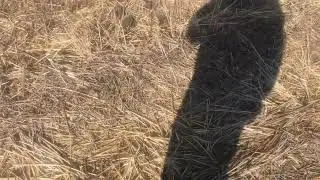 Давайте порадимось