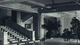 «Альтернативщики». О чем они молчат?