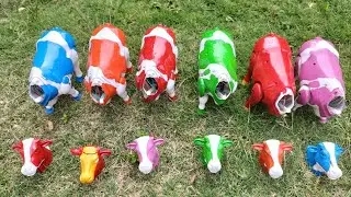 Search for Moo Cows, Cute Cows, Colorful Cows, Match Cow Heads, Assemble Cows