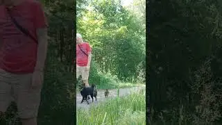 Загружаем голову. команда ЗМЕЙ