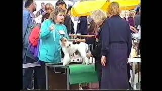 ХХ  ХХХ 2000   Выставка Евразия 2000 (ЦСК) вариант А