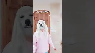 Perros de diferentes generaciones 🤣🐶 