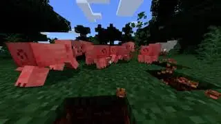 Minecraft Time