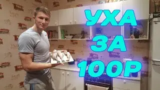УХА ЗА 100 РУБЛЕЙ! 15 МИНУТ И ГОТОВО!