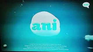 Ani (27.10.23) фрагмент эфира [CAMRip]