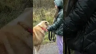 СОЦИАЛИЗАЦИЯ АЛАБАЯ И ЭДУАРДОВНЫ