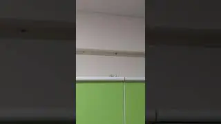 Тараканы в Сочи