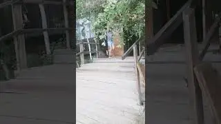 снимает она а в рек попаду я в конце палево💀