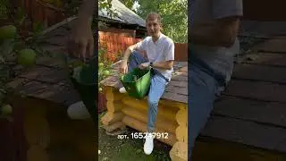 СОБИРАЙ ЯБЛОКИ И КОРМИ ЛОШАДЬ