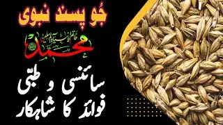 Barley! Treasure for health and Sunnah of Holy Prophet PBUH جو کے فوائد