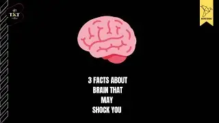 3 facts about our brain that may shock you 