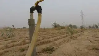 Wuyo afforestation Project, Bayo LGA, Borno State (FMENV, DLDDM)