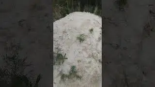 29 августа 2024 г.