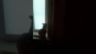 намально!!!