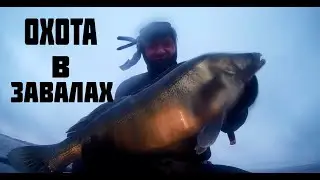 ПОДВОДНАЯ ОХОТА В ЗАВАЛАХ ЗИМОЙ!!! СУДАК!!!