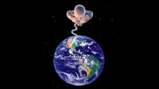 The Umbilical Cord of Our World