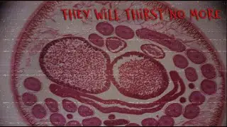 They Will Thirst No More Part 3 VideoVisions LTD and Vintage 8 Collaboration