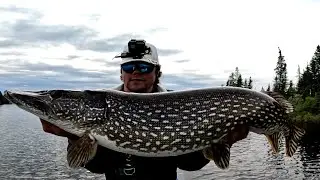 Checking New Water for Pike Potential #fishing #pike #catchmorefish #explore