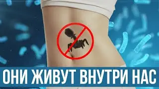 Самые Cмертоносные Cущества на планете Земля