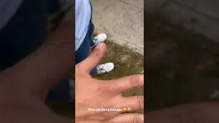 Михаил Литвин и Ерик Давидыч спорят