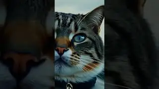 m mm mmm
