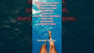 Твой мир-как питомец