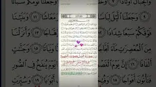 سورة النبأ