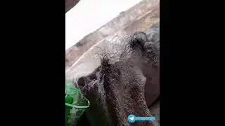 Место действия южный фланг, встречный бой, дистанция до врага менее 170 метров.