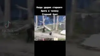Мемы №295