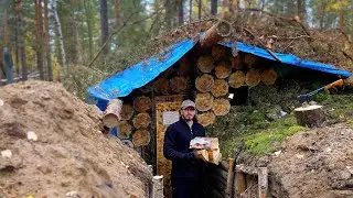 Dugout covered with moss. Prepared firewood for the winter