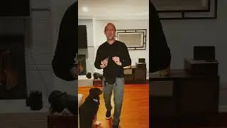 Stop your dog barking with your phone! #dog #barking #dogtraining