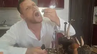 МИКОФАРМ-СПАСИБО!