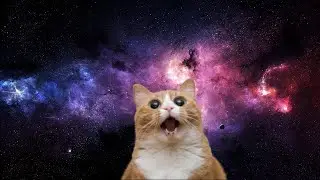 Не понятный стрим?