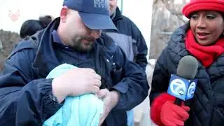 Rescuing Dog with Mouth Taped Shut Used As Bait in Detroit Animal Cops Rescue Dogs