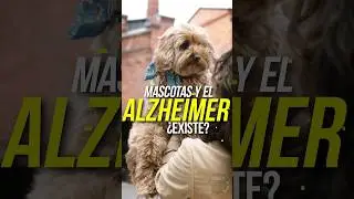 ¿Las MASCOTAS pueden TENER ALZHEIMER? #animales #curiosidades #fauna #perros #gatos