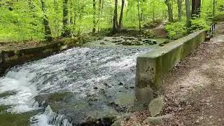 Ilsenburg/Harz, Im unteren Ilsetal an der Ilse, am 06.05.23, Teil 2