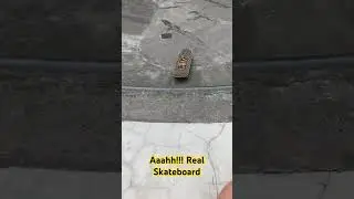 AAAHH!!! Real Skateboard 