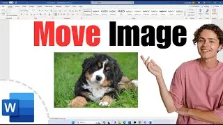 How to Move Image in MS Word [ Microsoft ]