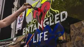 Merlin Sheldrake's Entangled Life comes to life at Waterstones Hampstead