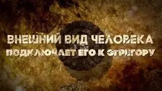 ИМИДЖ - катализатор процессов в судьбе Человека