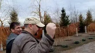 Прогулка по каменной тропе