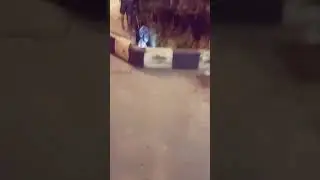 Berburu ikan CUPANG di Tengah hari malam.di selokan lagoa SANGGAR BOGASARI..Dapat BANYAK..👍👍