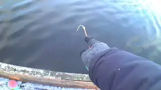 рыбалка на зимние удочки с моста.