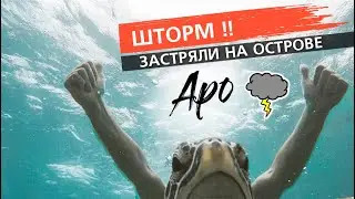 Застяряли в шторм на острове Апо! Плаваем с черепахами | Филиппины