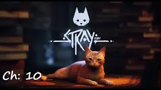 Stray Walkthrough Chapter 10 - Midtown (All Memories)